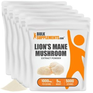 BulkSupplements.com Lion s Mane Mushroom Extract - Memory Supplement for Brain - Genius Mushrooms - Brain Focus Supplements (5 Kilograms)